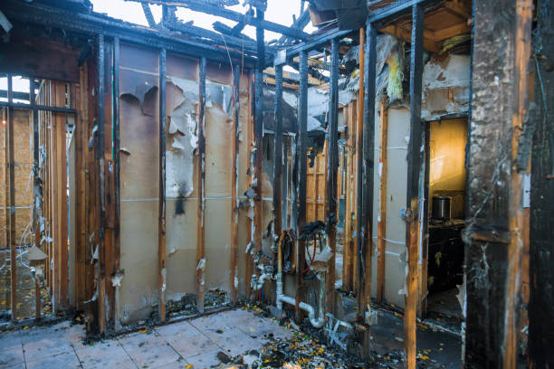 Professional Odor Removal technician working in Mio, MI